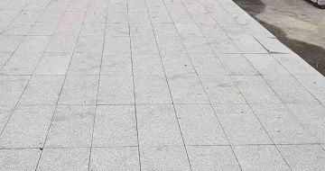 那曲芝麻白地铺案例