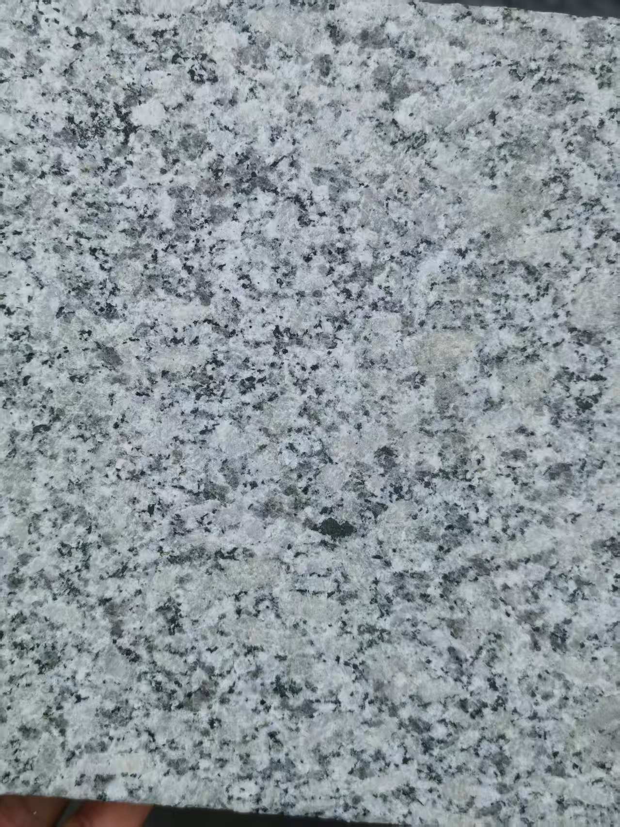 那曲 芙蓉白火烧面