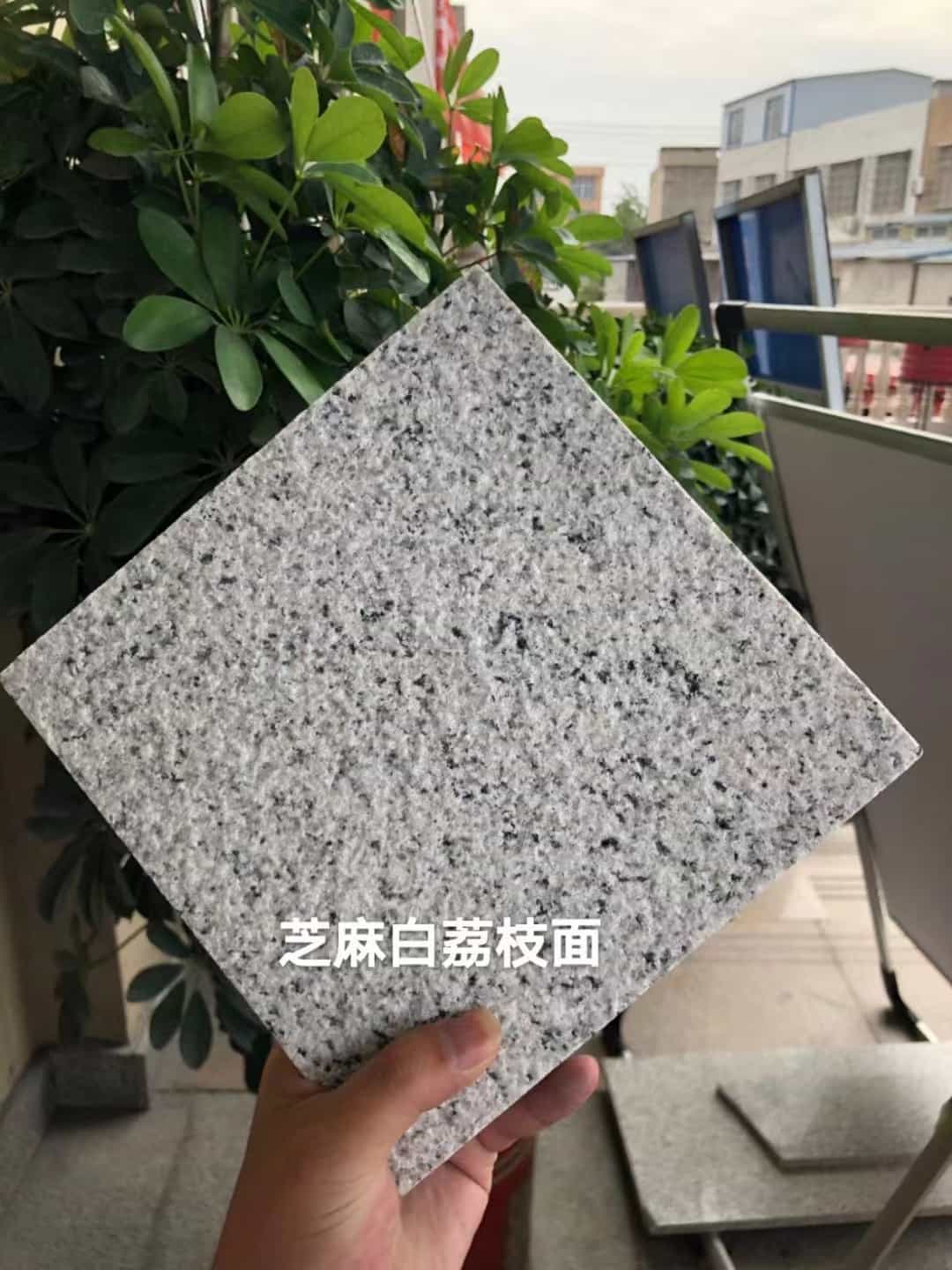 那曲 芝麻白荔枝面干挂